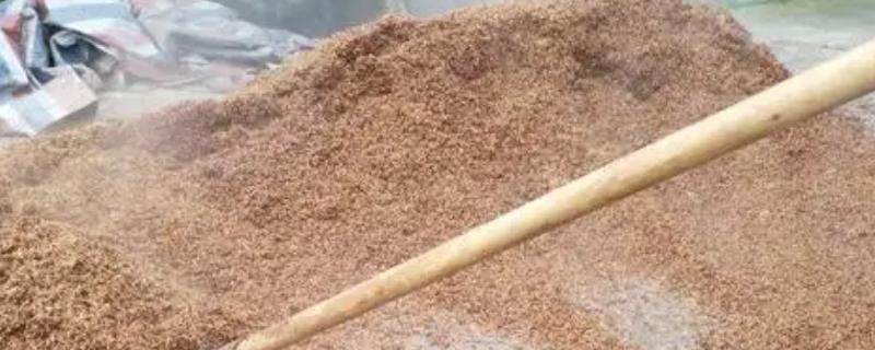 酒糟喂牛的配方，有以下3种配方