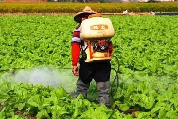 怎么使用苦参碱杀虫剂，根据防治对象决定喷施浓度
