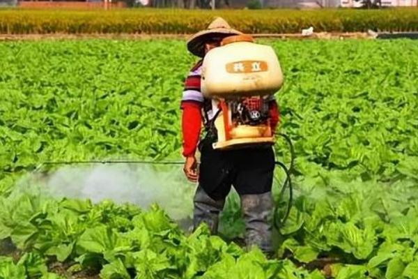 灭多威如何使用，针对不同害虫的使用方法不同