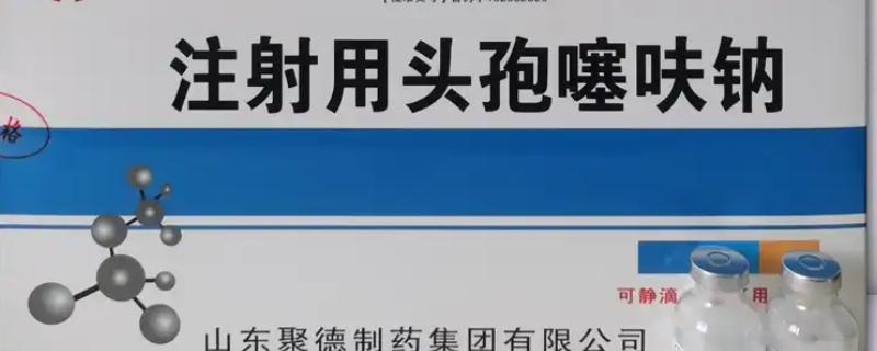 1g头孢对几斤的猪使用，适用对象为200斤左右的猪