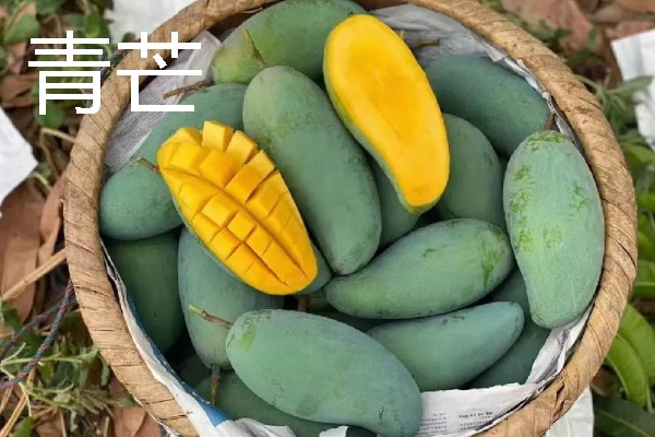 好吃的芒果排行，推荐小台芒、青芒等