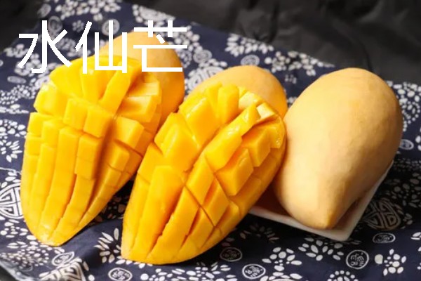 好吃的芒果排行，推荐小台芒、青芒等