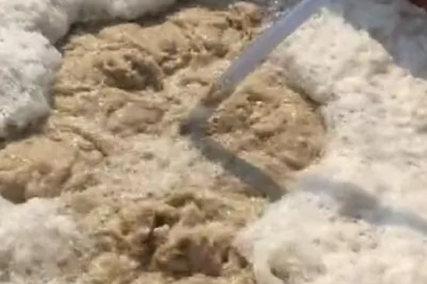 米糠怎么制造出来的，是由果皮、种皮等加工而成的