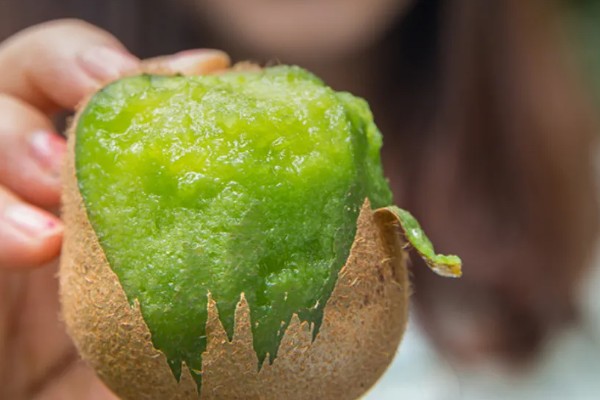 猕猴桃果肉呈绿色的原因，可能是果肉中含有叶绿素