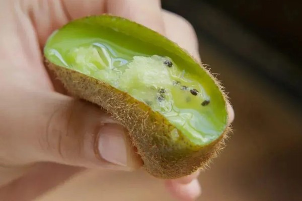 猕猴桃果肉呈绿色的原因，可能是果肉中含有叶绿素