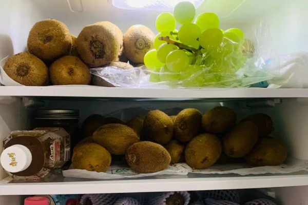 猕猴桃果肉呈绿色的原因，可能是果肉中含有叶绿素