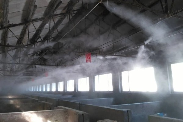 养殖场如何灭鼠，可利用捕鼠器人工捕捉