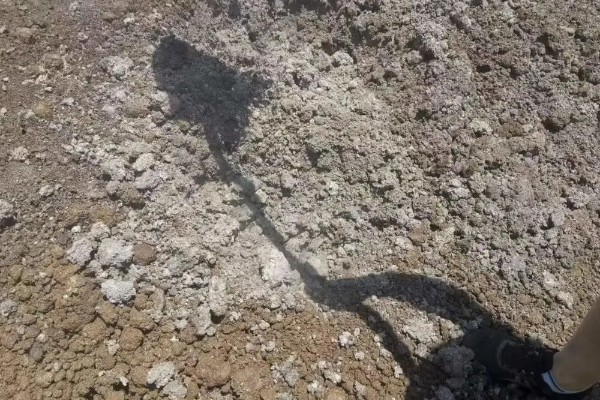 养殖场如何灭鼠，可利用捕鼠器人工捕捉