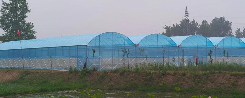 建造温室大棚选什么钢管，常用镀锌钢管、油田管、普通铁管