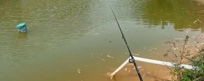 钓黑坑用什么鱼竿，推荐鲫鱼竿、鲤鱼竿等