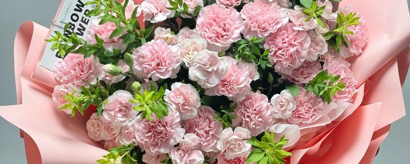 哪些花卉适合送给病人，可选择向日葵、康乃馨、百合花等品种