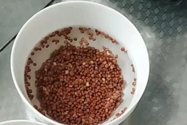 抱子甘蓝的种植方式，春夏冬三季均可种植