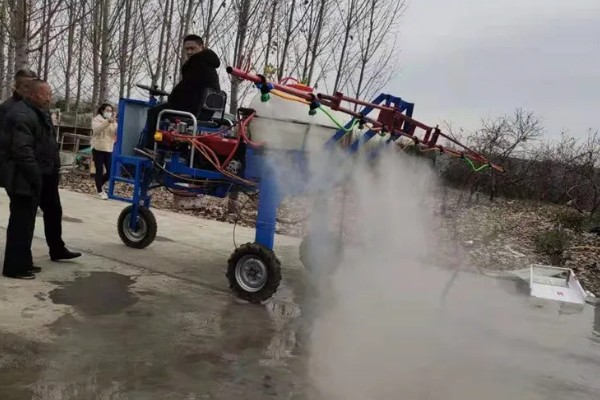 大葱怎么种植，播种后保持适温可加快出苗速度