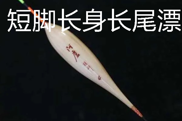 秋冬野钓鲫鱼用什么饵料，选择腥味的饵料最好