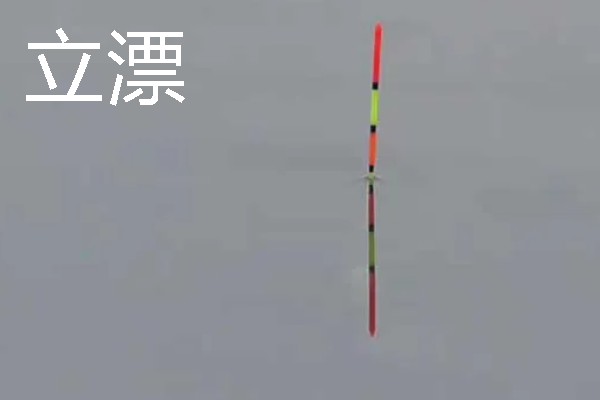 秋冬野钓鲫鱼用什么饵料，选择腥味的饵料最好