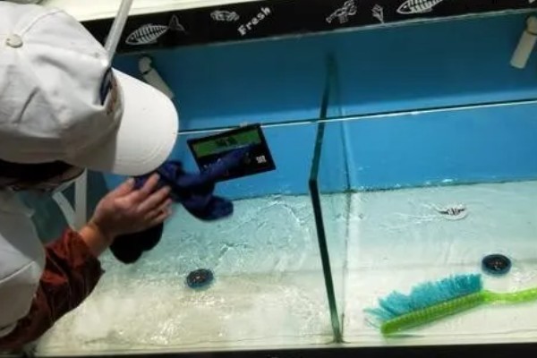 鱼缸水质怎么检测，可以用专门的设备或试纸
