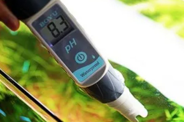 鱼缸水质怎么检测，可以用专门的设备或试纸