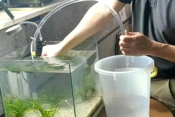 鱼缸水质怎么检测，可以用专门的设备或试纸