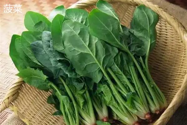绿叶菜的保鲜方式，放在冰箱中可保鲜一周左右