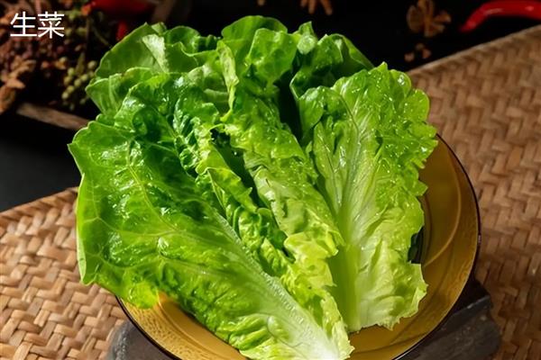 绿叶菜的保鲜方式，放在冰箱中可保鲜一周左右