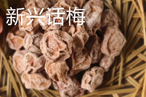 话梅是什么地方的特产，主要产于福建省漳州市诏安县