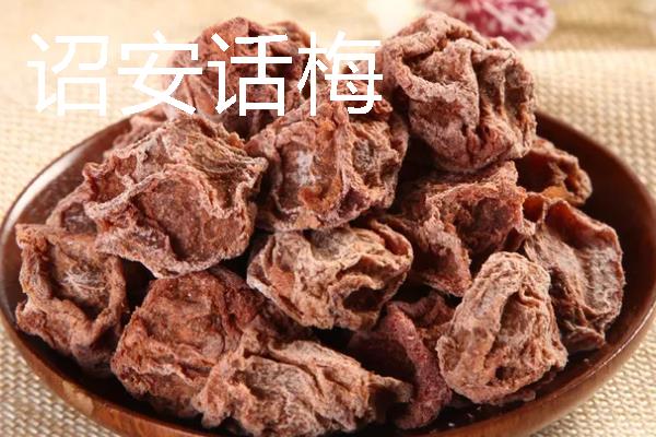 话梅是什么地方的特产，主要产于福建省漳州市诏安县