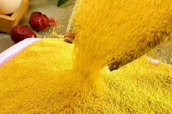 小米的简介，又称为粟米