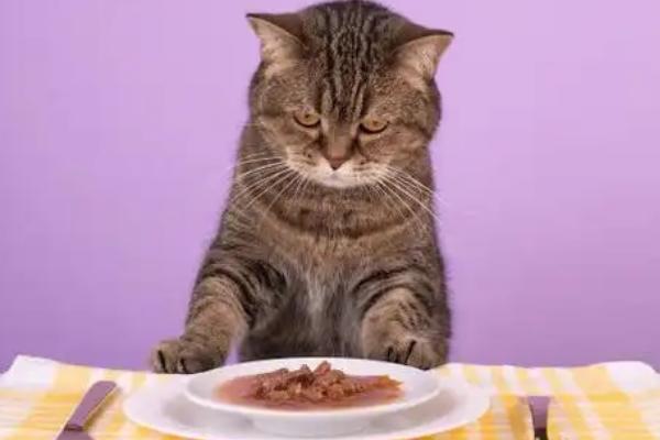 猫咪患上糖尿病的表现，初期表现为食欲愈加旺盛