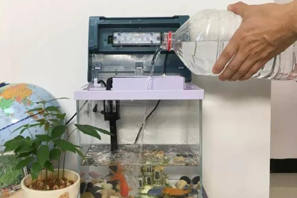 白鹦哥鱼好不好养，养殖难度适中不适合新手