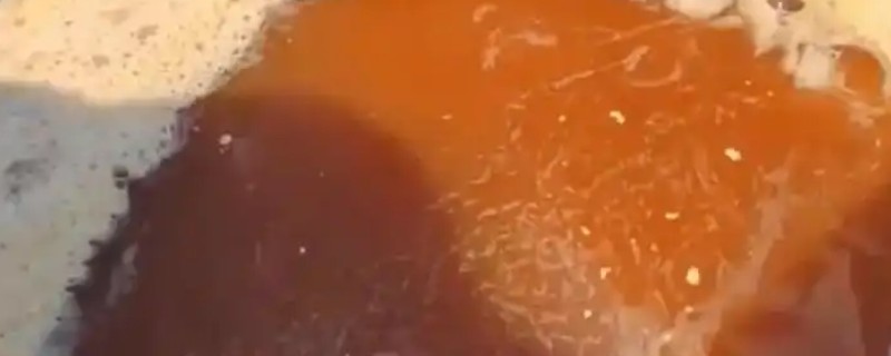 水产乳酸菌发酵成功如何辨别，会有一种酸爽味道