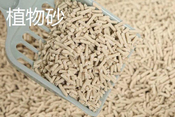 猫砂适合用哪种，植物砂、纸屑猫砂等种类比较好用