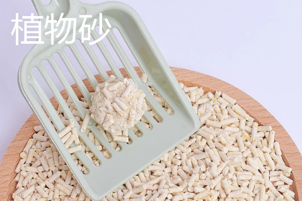 猫砂适合用哪种，植物砂、纸屑猫砂等种类比较好用