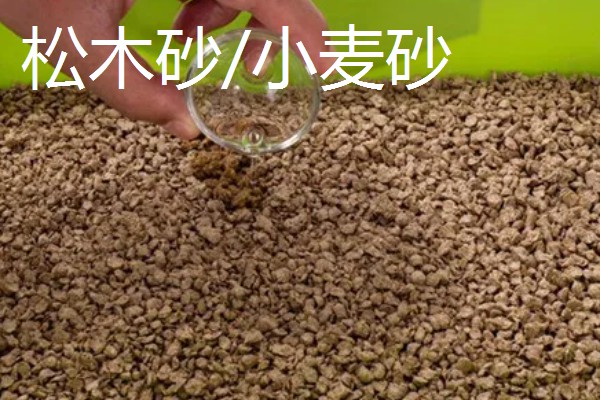 猫砂适合用哪种，植物砂、纸屑猫砂等种类比较好用