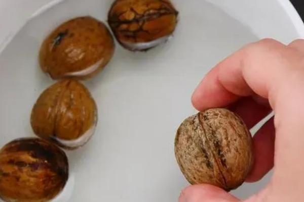 核桃种子如何催芽，以下五种方式均可采取