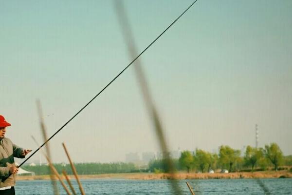 5.0号主线搭配几号子线，与4.0号子线一起使用比较合适