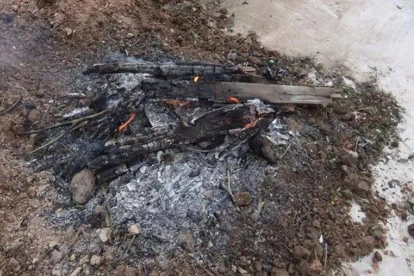 柑橘怎么防冻，对树干涂白、对根部覆盖稻草能起到保暖作用