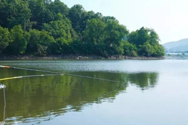 5.0号主线搭配几号子线，与4.0号子线一起使用比较合适