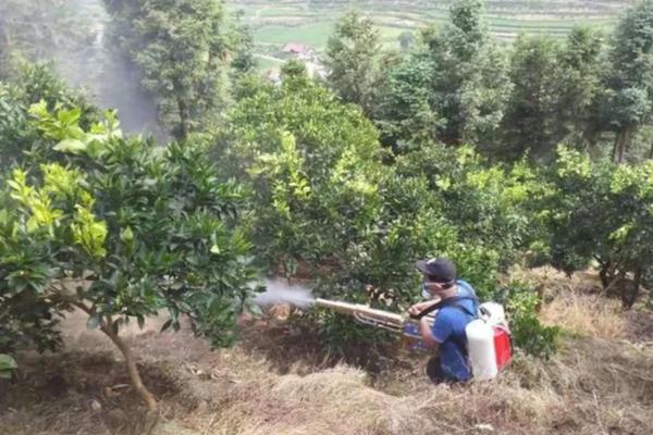 芸苔素如何使用，针对不同作物的使用方法不同