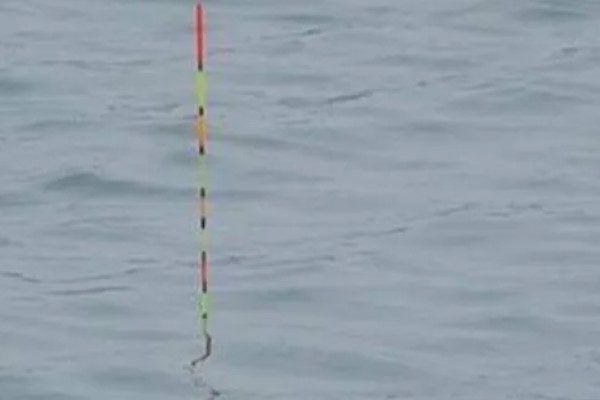5.0号主线搭配几号浮漂，适合与3.0-5.0克浮漂一起使用