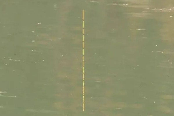 5.0号主线搭配几号浮漂，适合与3.0-5.0克浮漂一起使用