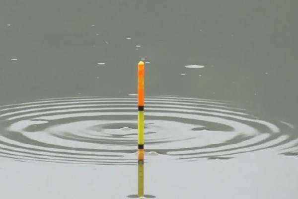 5.0号主线搭配几号浮漂，适合与3.0-5.0克浮漂一起使用