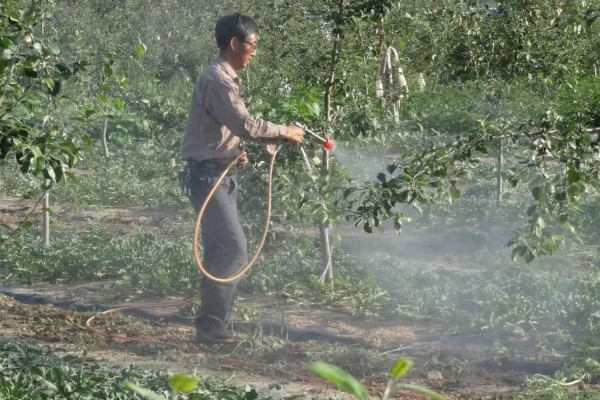 石硫合剂能与哪些药混用，可以和五氯酚钠、碱性农药混用