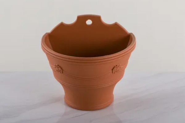 驱蚊草的栽种方式，春夏秋季均可栽种