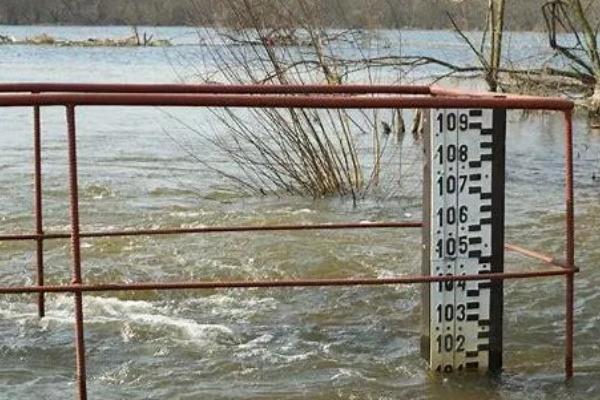 地震前动物有什么异常表现，鼠、蛇等动物会成群结队地跑出洞穴