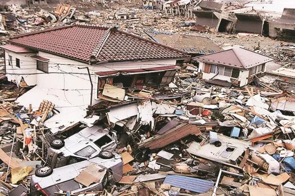 地震前动物有什么异常表现，鼠、蛇等动物会成群结队地跑出洞穴