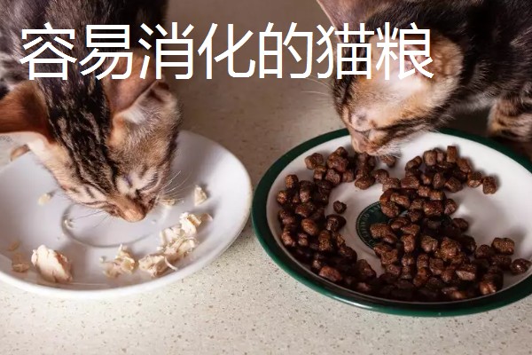 猫肠胃炎可以吃什么食物，可以吃猫罐头、羊奶粉等