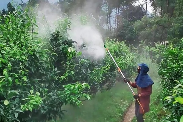 果树调节剂的特点，其使用面极广