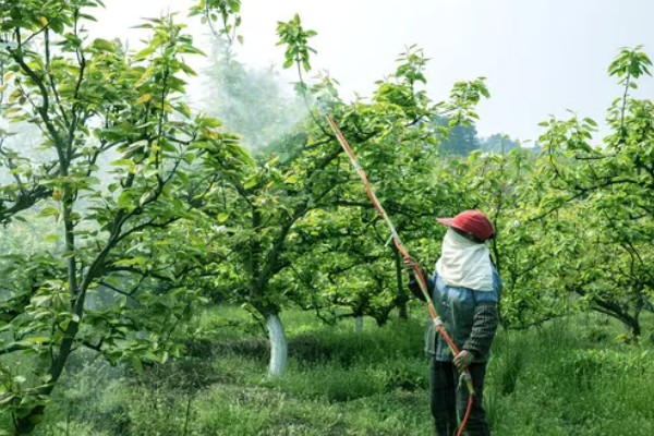 果树调节剂的特点，其使用面极广