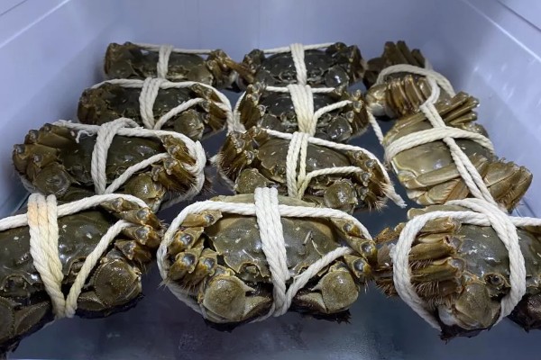 大闸蟹死了能吃吗，常温下超过2小时不能食用