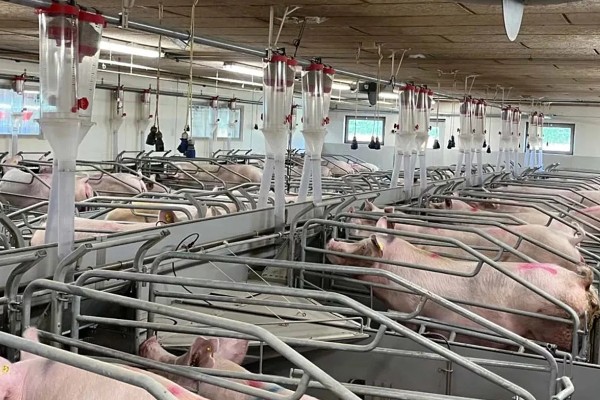 现代智能化养猪场设备有哪些，包括猪栏设备、供水设备等